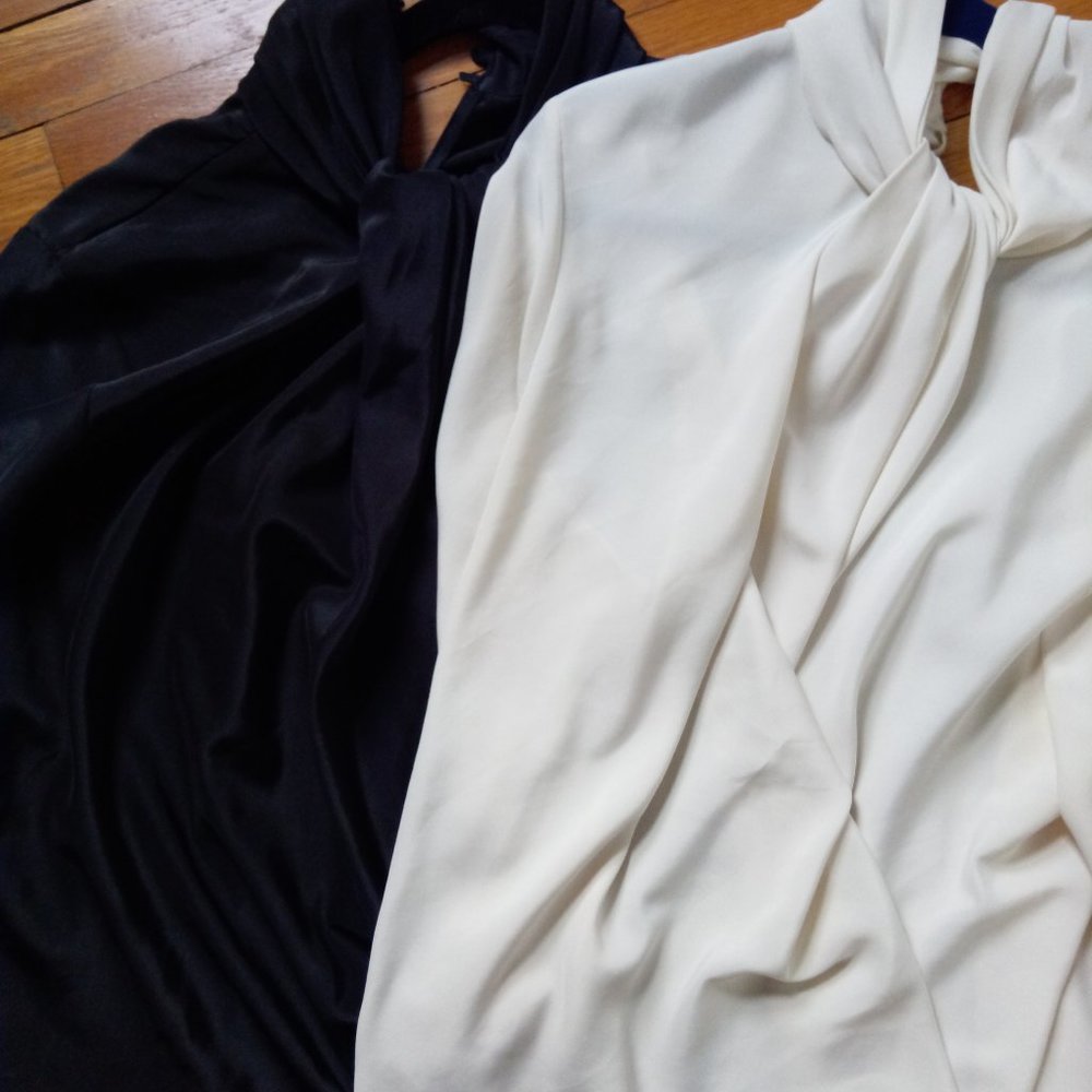 Two San Andre Blouses